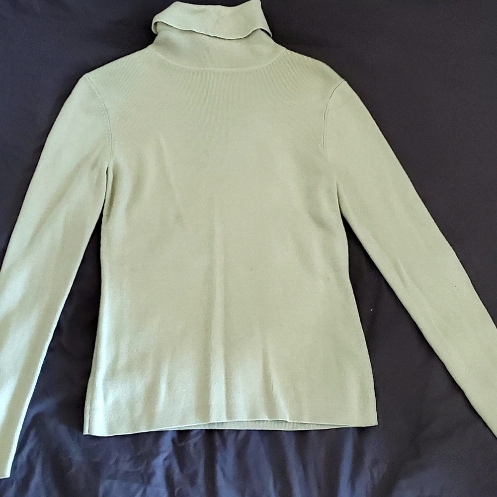 Mint Green Beautiful Turtleneck